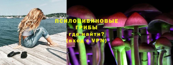 сатива Верея