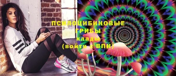 ешки Бронницы