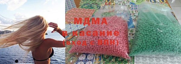 сатива Верея