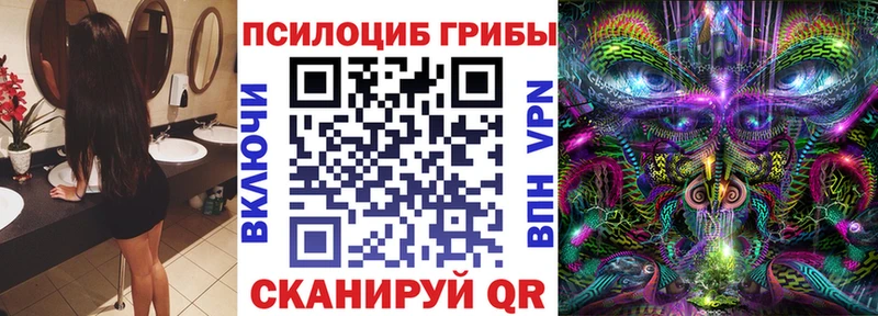 купить   мега маркетплейс  Псилоцибиновые грибы ЛСД  Кадников 